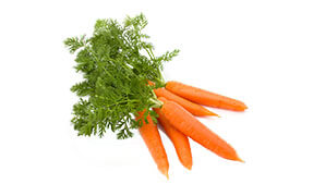 huile végétale bio macérât huileux carotte